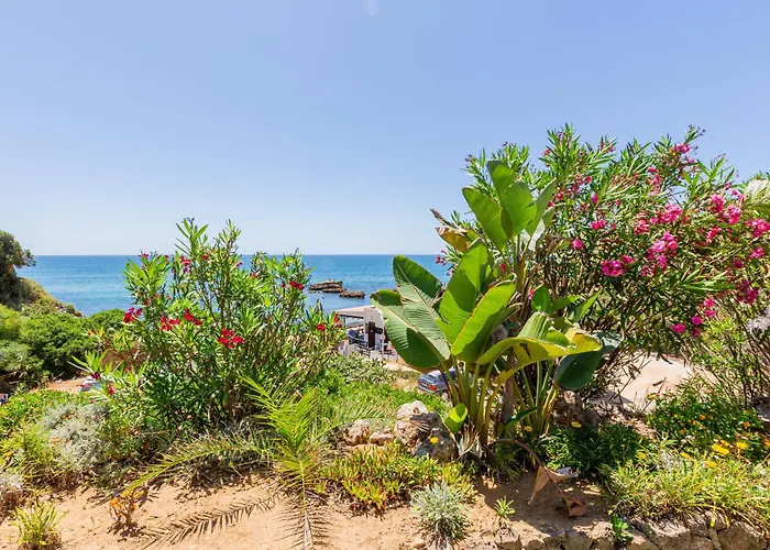 شقة Beachfront Dos Aveiros البوفيرا